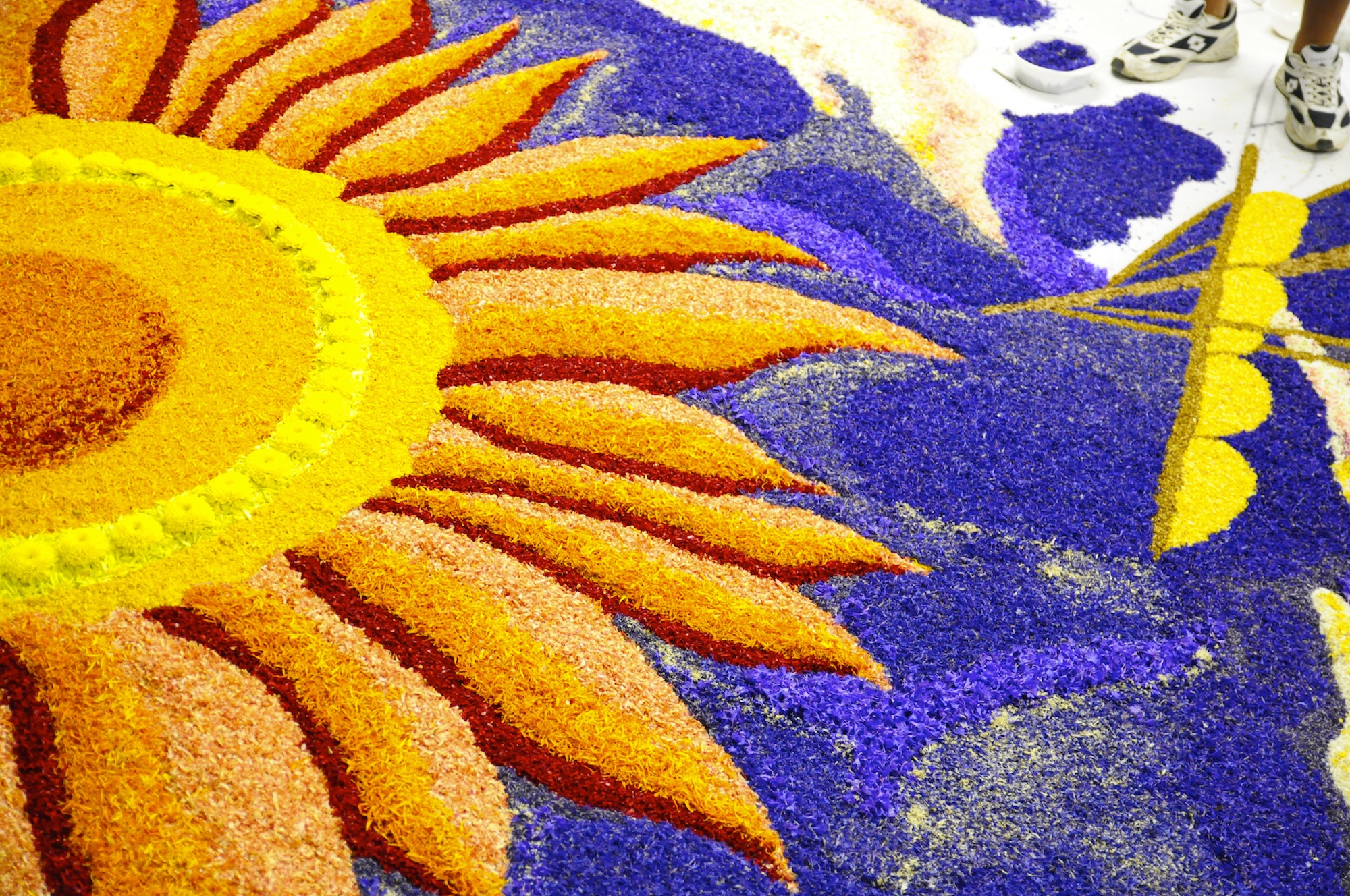Le Infiorate del Corpus Domini: l’arte floreale colora l’Italia