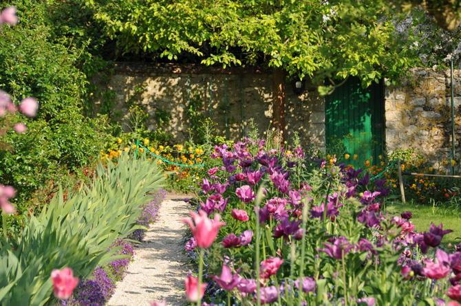 Estate in arrivo: i fiori più belli per il tuo balcone e il tuo giardino