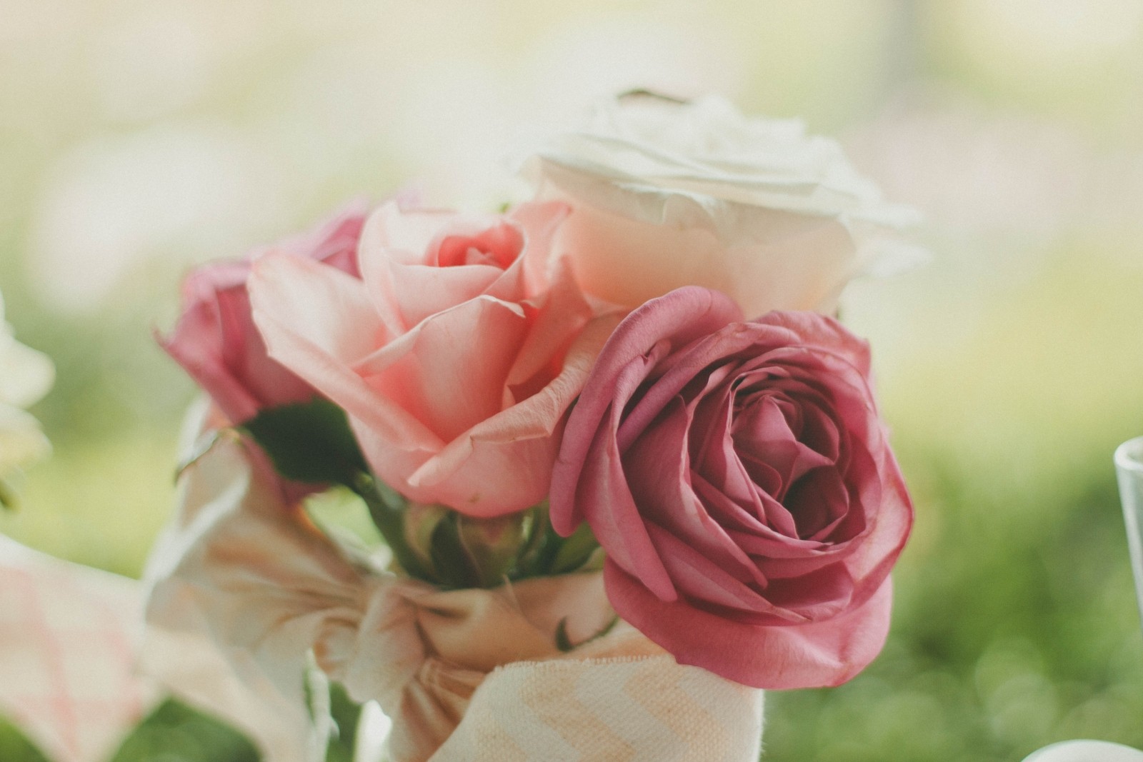 Fiori d’estate: quali sono e come curarli. Prenditi cura del tuo verde